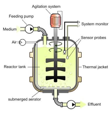 Bioreactor