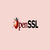 OpenSSL
